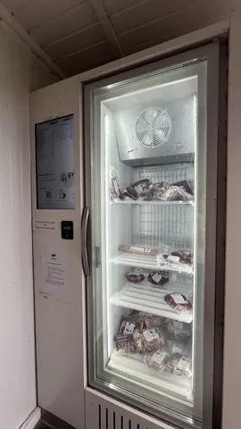 A refrigerator with a freezer section and a shelf of food.