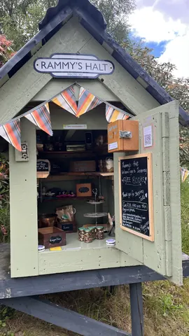 A small green building with a sign that says "free books".