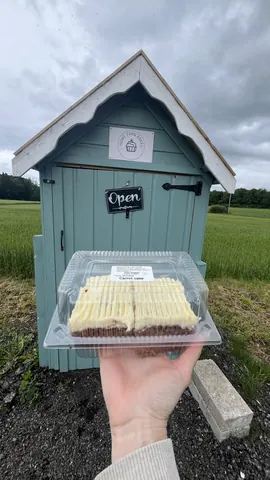 A person is holding a cake in a plastic container.