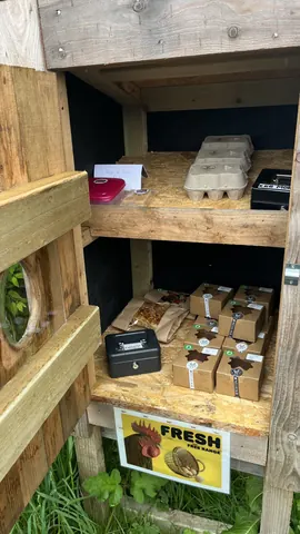A wooden shelf with a box of eggs on it.