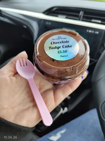 A person holding a fork and a container of chocolate fudge cake.