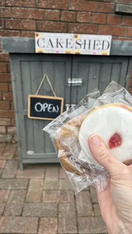 A person is holding a cookie in their hand.