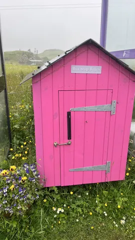 Photo 5 of 6 — Bus Stop Bakes honesty box