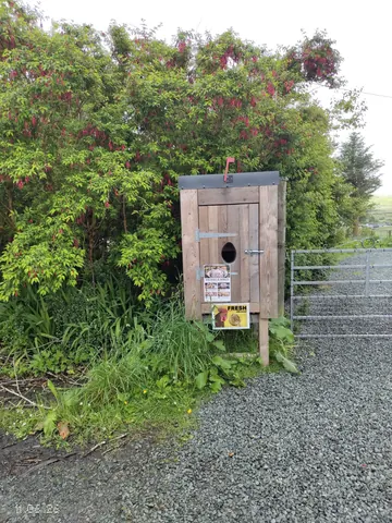 A wooden box with a hole in it is on the side of a road.