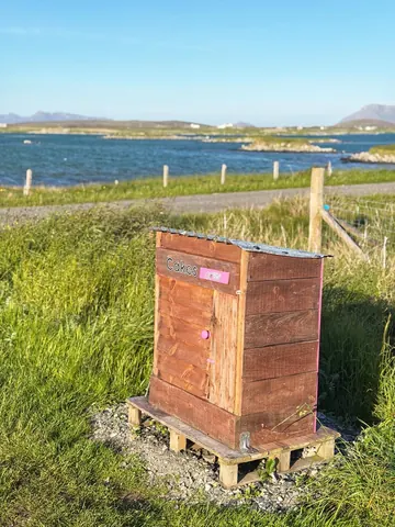 A wooden box with a pink door is sitting on a wooden pallet.