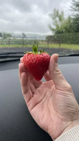 A person is holding a red strawberry.