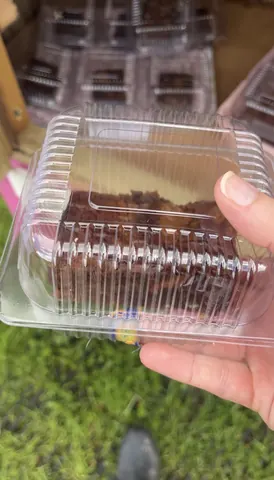 A person is holding a plastic container with a piece of cake inside.