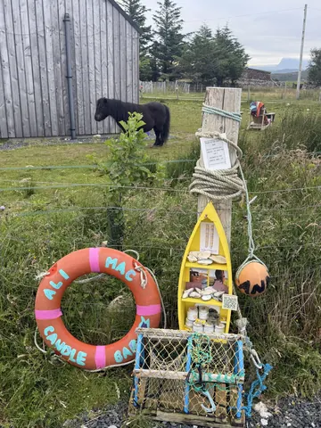 A black bear is standing next to a boat.