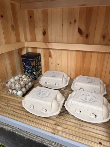 A wooden structure with a box of eggs and a box of plants.