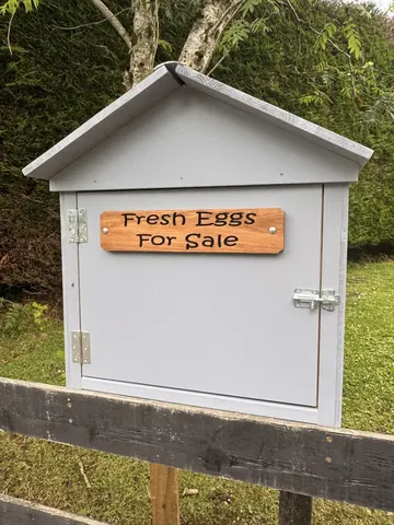 A wooden box with a sign that says "Fresh Eggs for Sale" on it.
