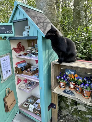 A black cat is sitting on a shelf in front of a blue door.