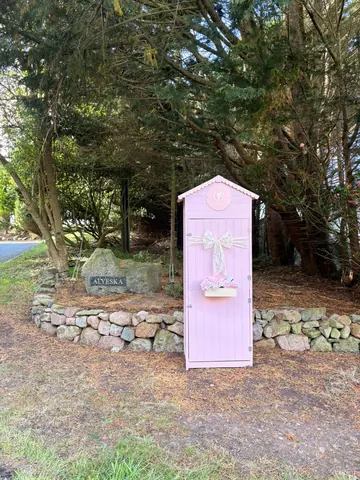 A pink shed with a bow on it.