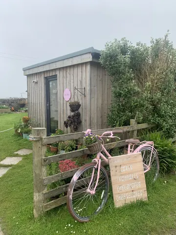A pink bicycle is parked in front of a wooden building.