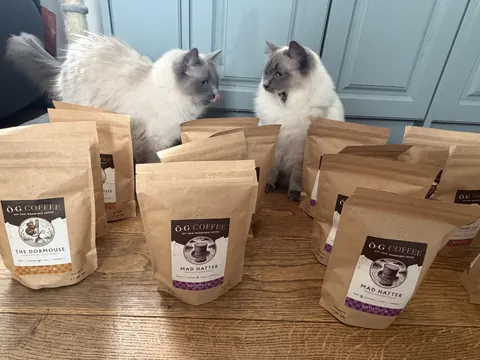 Two cats are sitting on a table in front of bags of coffee.