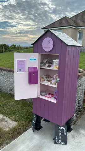 A purple shed with a pink door and a purple mailbox.