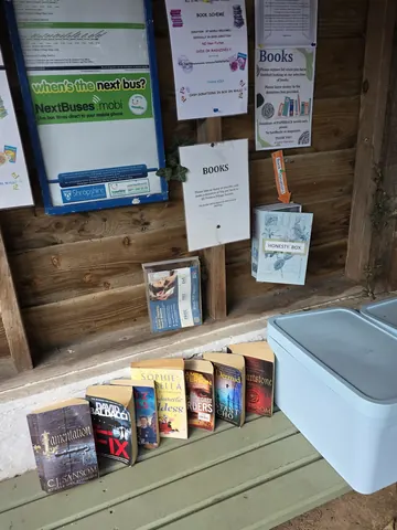 A collection of books and pamphlets are displayed on a wooden shelf.