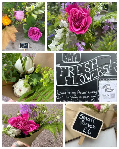 A collage of pictures of flowers and a sign that says "Fresh Flowers" on it.