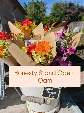 A sign that says Honesty Stand Open 10.30am.