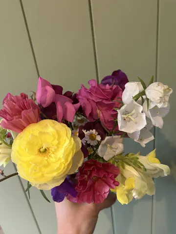 A bouquet of flowers is being held in a hand.
