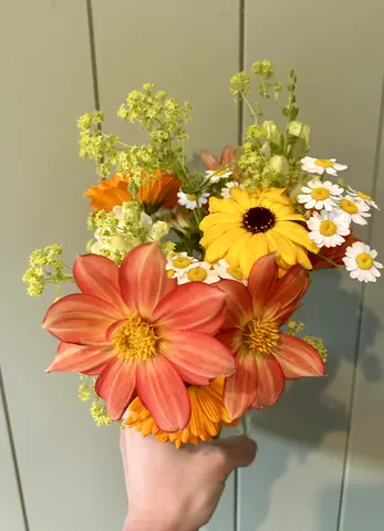 A bouquet of flowers with a yellow center.