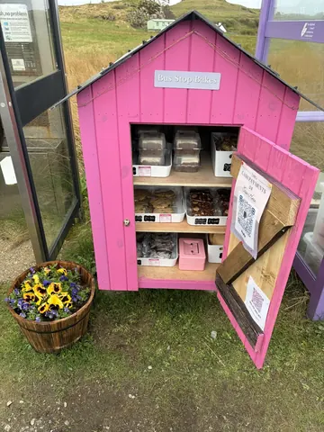 A pink shed with a sign that says "bus stop bakery" and a sign that says "happy birthday".