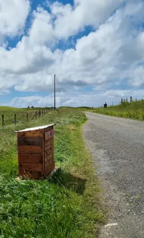 A wooden hive is sitting on the side of a road.