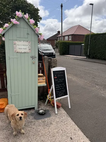 A small dog is standing in front of a green shed.