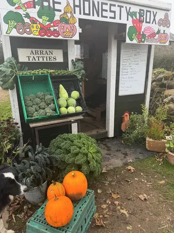 A dog is standing next to a building with a sign that says "Arran Tatties."