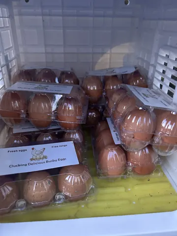 A basket of eggs in a plastic container.