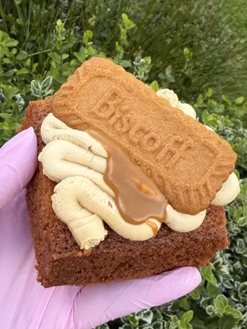 A person is holding a biscuit with icing and a cookie.