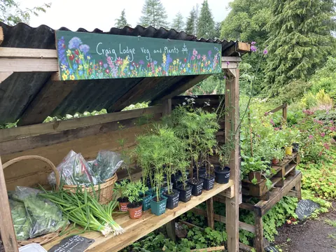 A wooden structure with a sign that says Craighouse Lodge Vegetables and Plants.