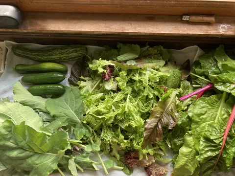 A variety of vegetables are displayed on a table.