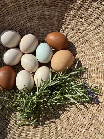 A basket of eggs and herbs.
