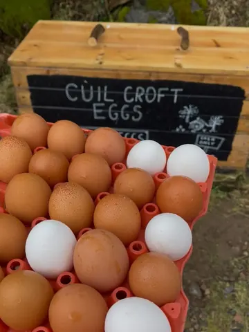 A wooden crate with eggs in it.