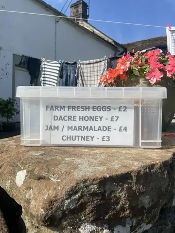 A box of eggs is sitting on a rock.