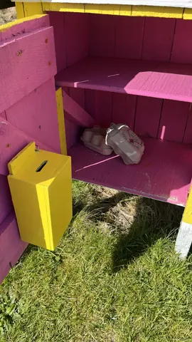 A yellow box with a donation slot and a pink wall.