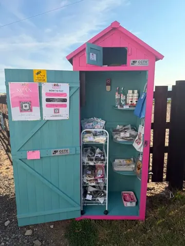A blue and pink shed with a sign that says "how to vote".