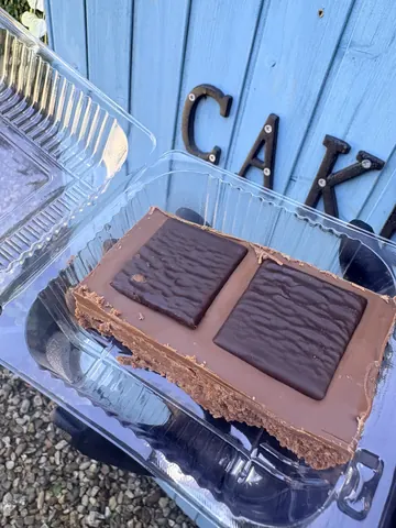 A piece of chocolate cake in a plastic container.