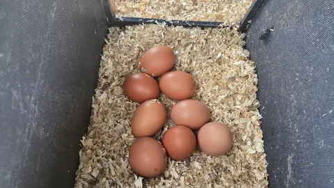 A box of eggs with some of them cracked.