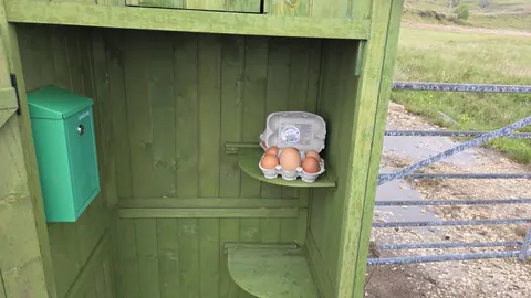 A wooden box with eggs in it.