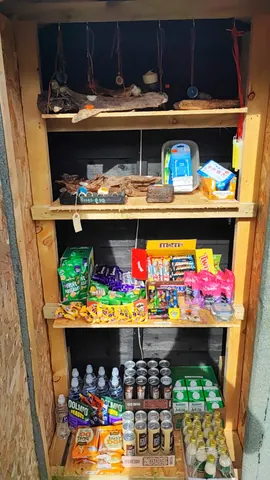 A wooden shelf with a variety of items on it.