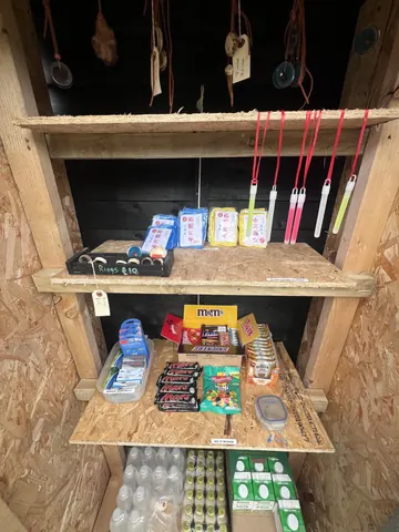 A wooden shelf with a variety of items on it.