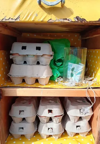 A box of eggs is sitting on a table.