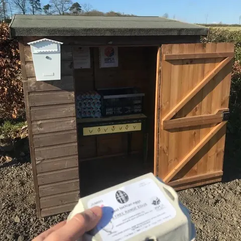 A person is holding a box in front of a small wooden shed.