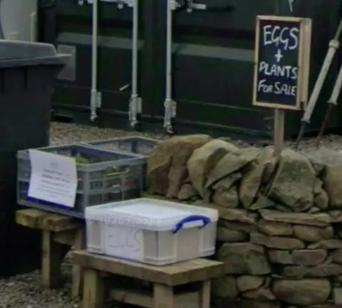A sign for eggs and plants for sale.