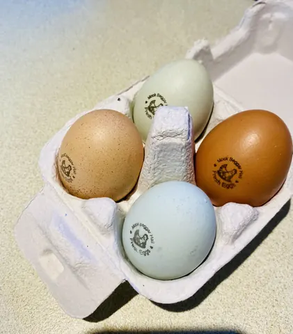 A carton of eggs with different colored shells.