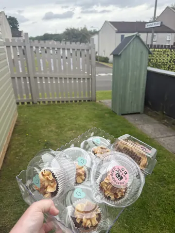A person is holding a box of cupcakes.