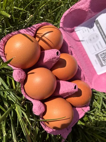 A pink egg carton with eggs in it.