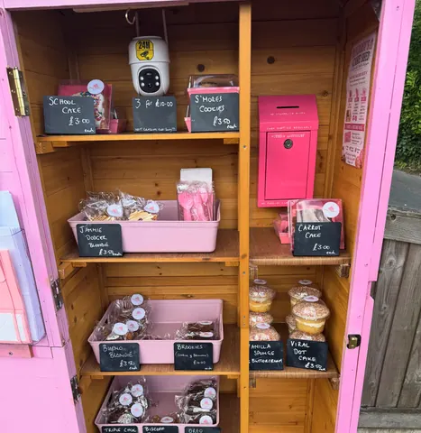 A pink wooden box with a red mailbox in it.