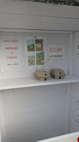 A sign that says "available Monday & Friday" is on a white wall.